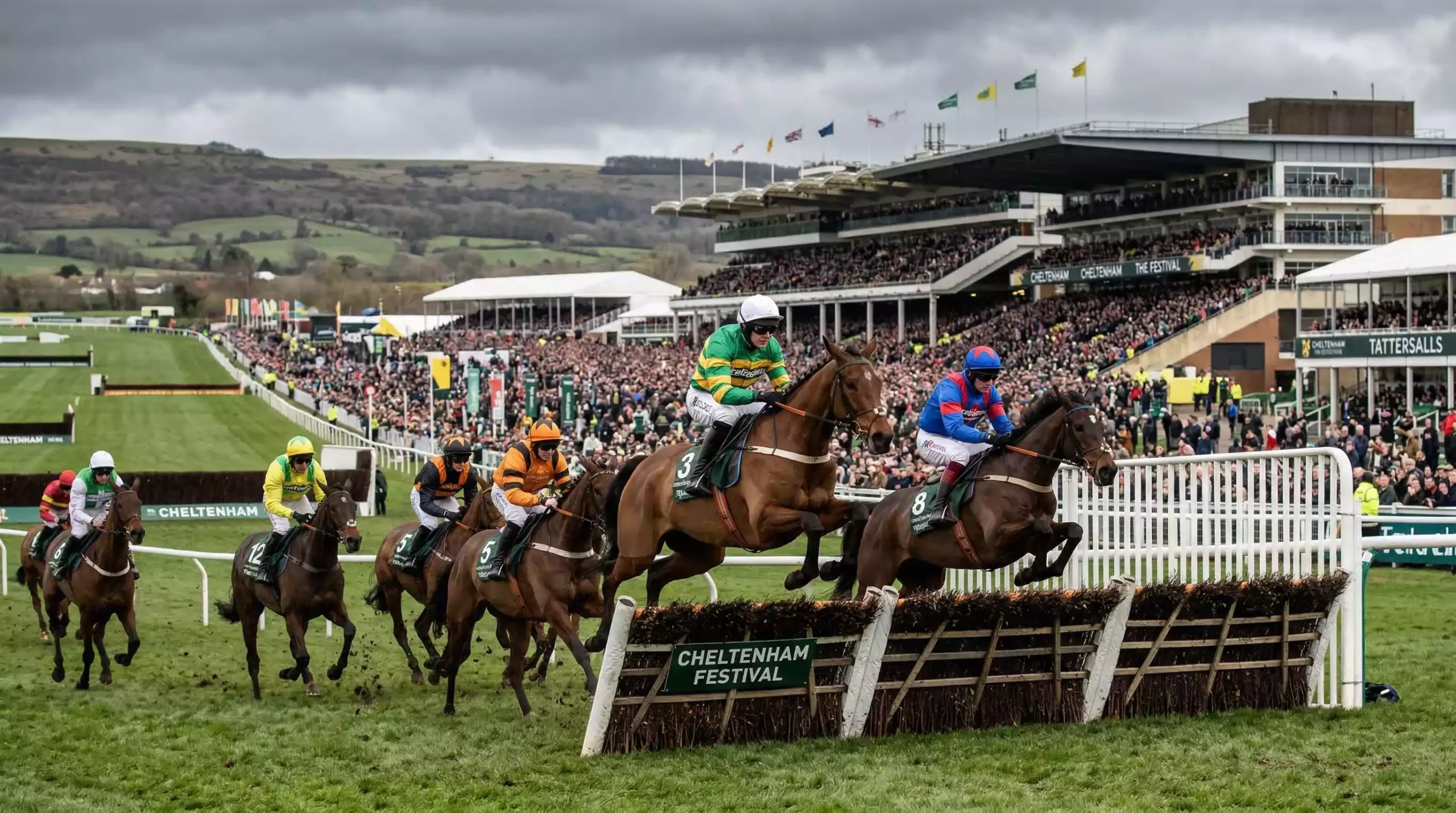 Cheltenham Festival horse racing betting