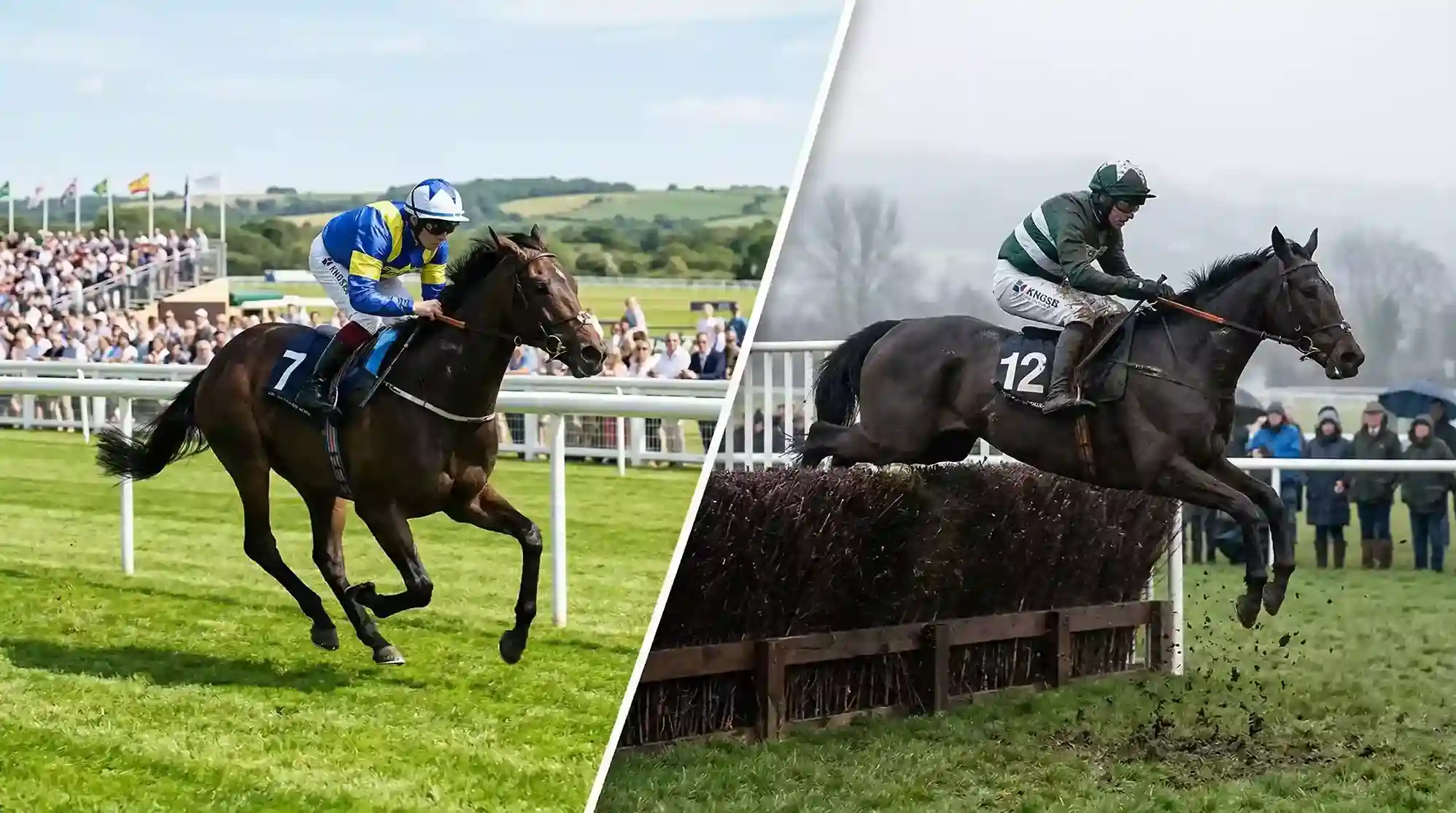 Flat vs National Hunt racing betting comparison
