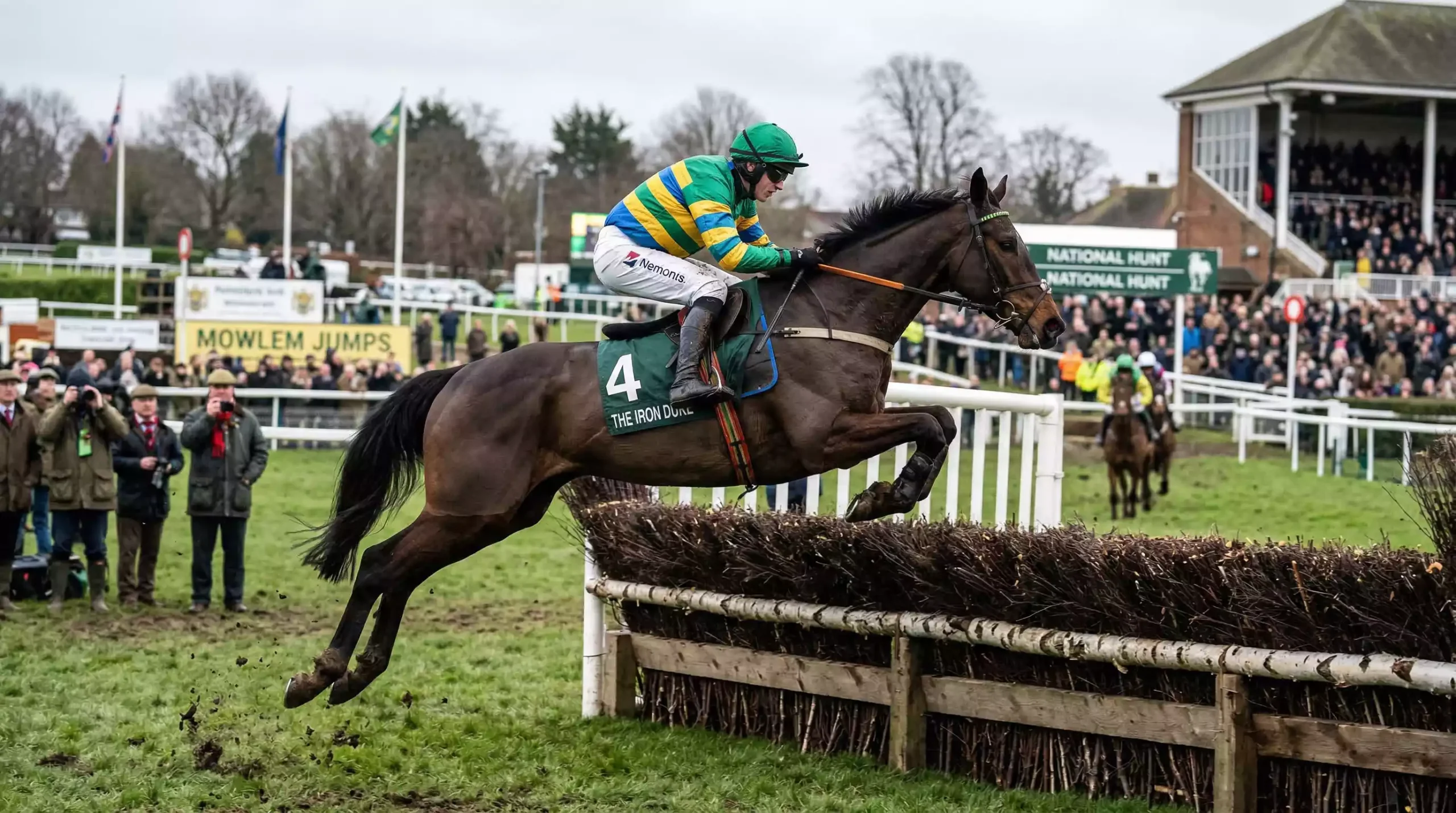 Novice chaser jumping a steeplechase fence