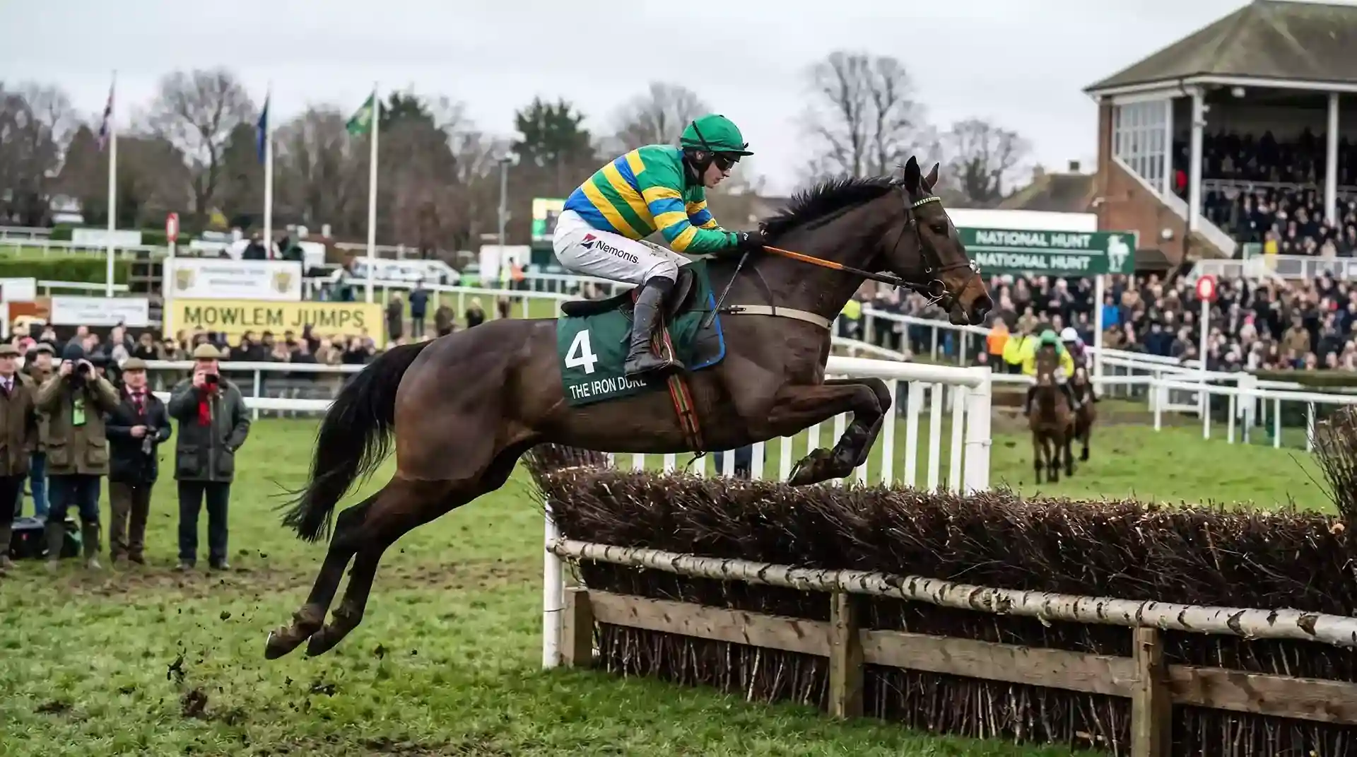 Novice chaser jumping a steeplechase fence