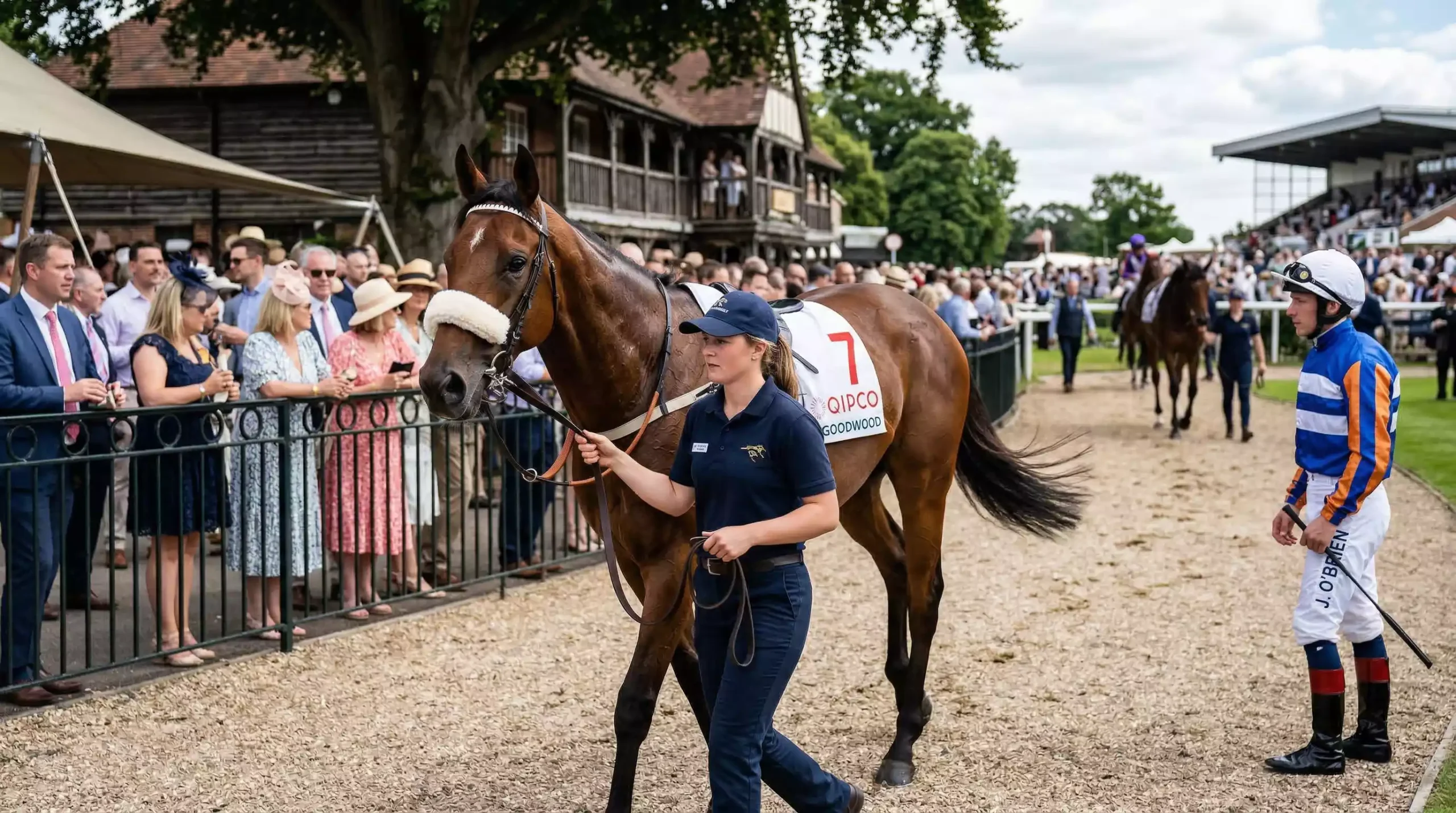 Two-year-old juvenile horse racing debut